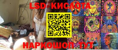apvp Краснодар