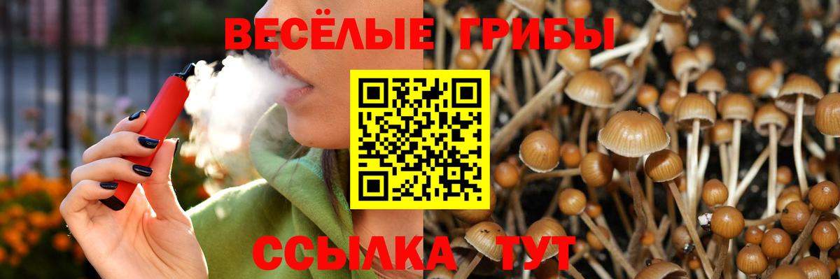 Псилоцибиновые грибы Psilocybine cubensis  Вход с VPN  Псилоцибиновые грибы GOLDEN TEACHER  Гусиноозёрск 